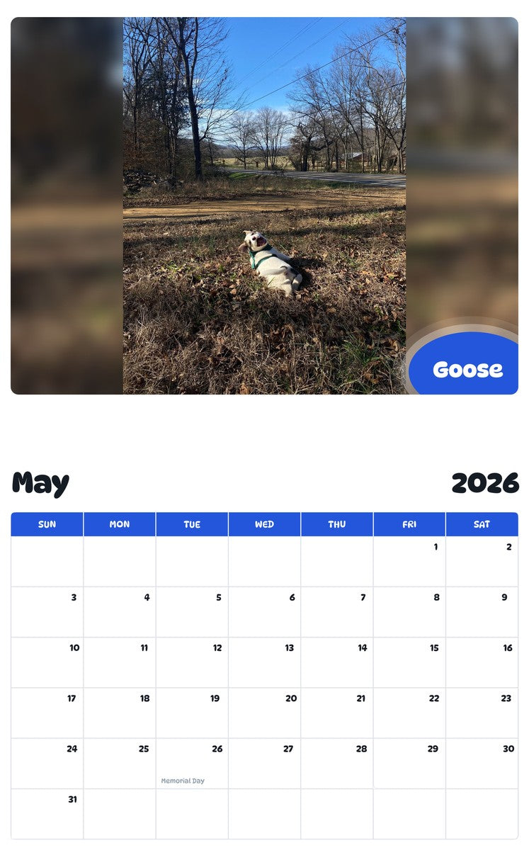 2026 - 2027 Goose - Pawidols Pet Calendar