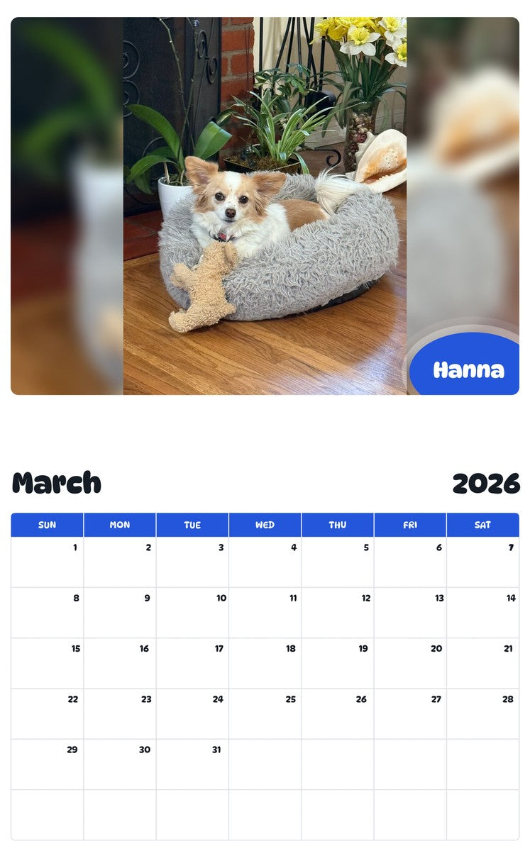 November 2025 - October 2026 Hanna - Pawidols Pet Calendar