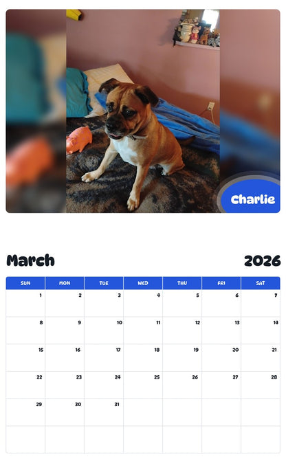 November 2025 - October 2026 Charlie - Pawidols Pet Calendar