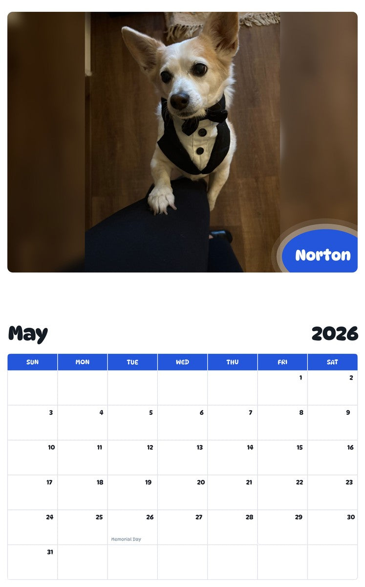 2026 - 2027 Norton - Pawidols Pet Calendar