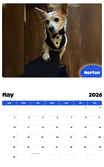 2026 - 2027 Norton - Pawidols Pet Calendar