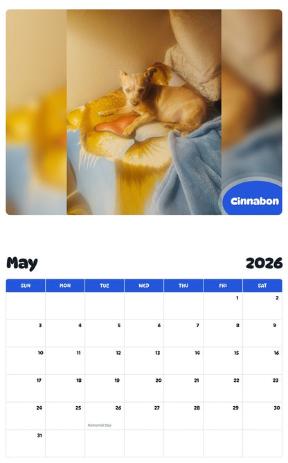 2026 - 2027 Cinnabon - Pawidols Pet Calendar