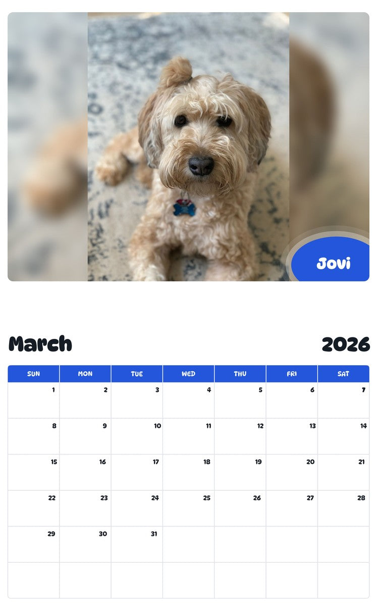 November 2025 - October 2026 Jovi - Pawidols Pet Calendar