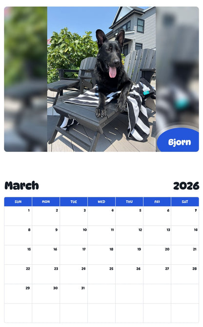 November 2025 - October 2026 Bjorn - Pawidols Pet Calendar