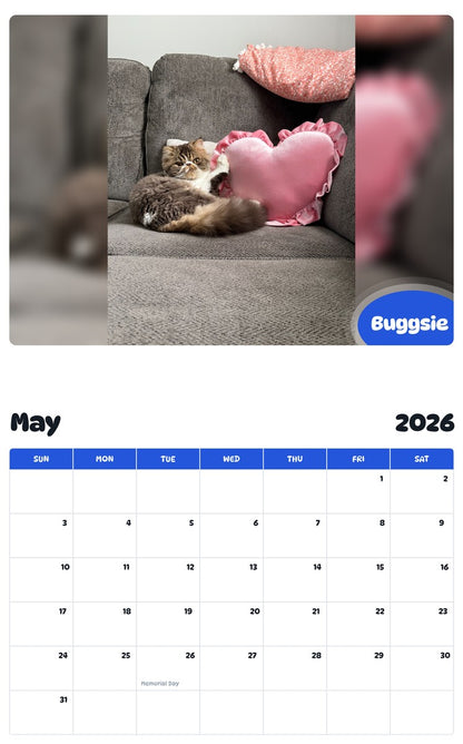 2026 - 2027 Buggsie - Pawidols Pet Calendar