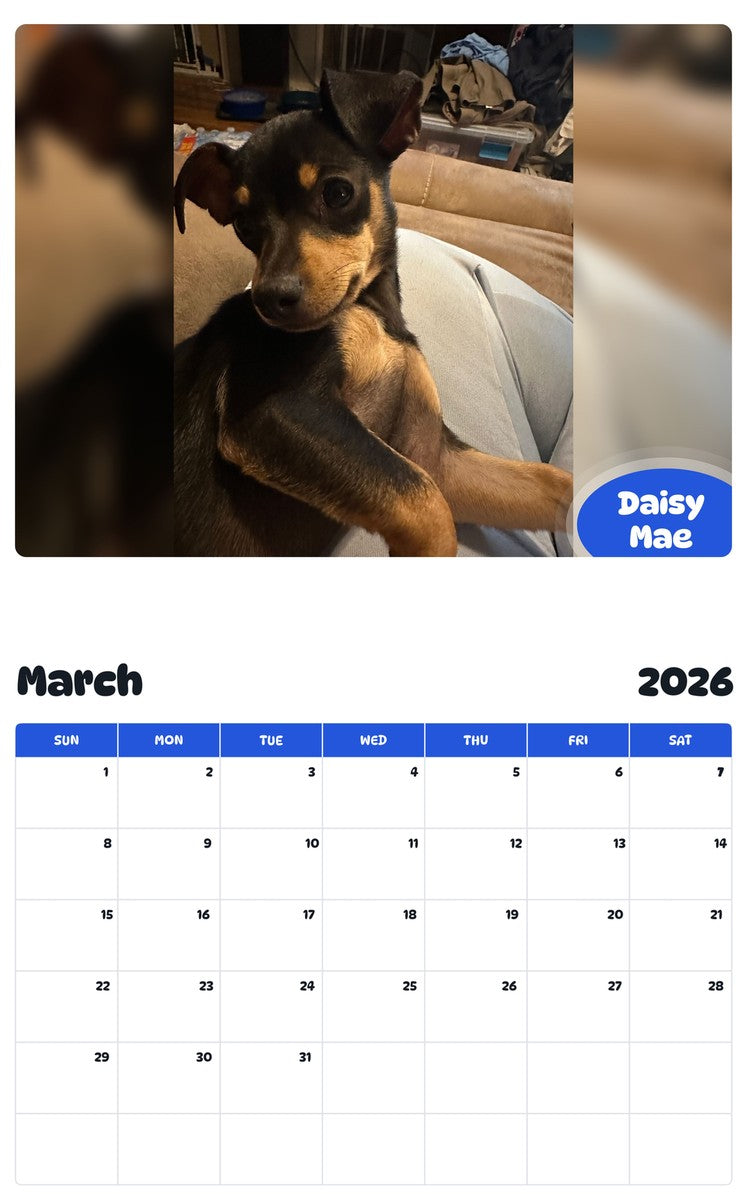 November 2025 - October 2026 Daisy Mae - Pawidols Pet Calendar