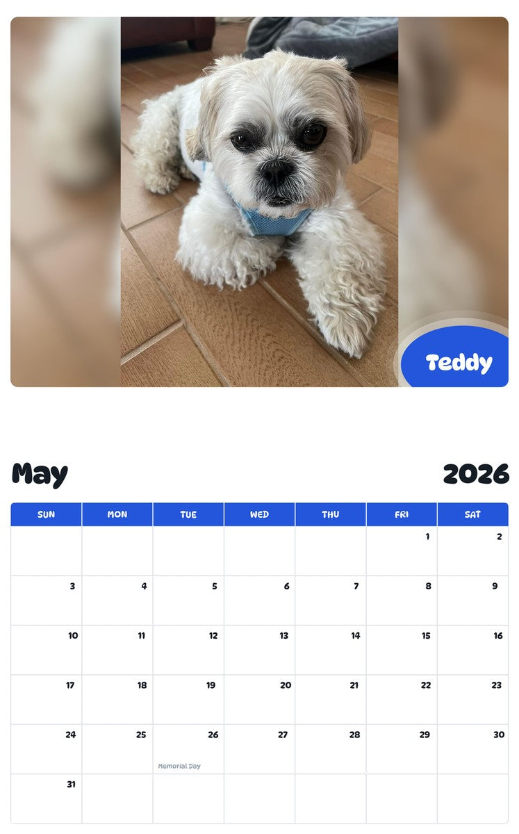 2026 - 2027 Teddy - Pawidols Pet Calendar