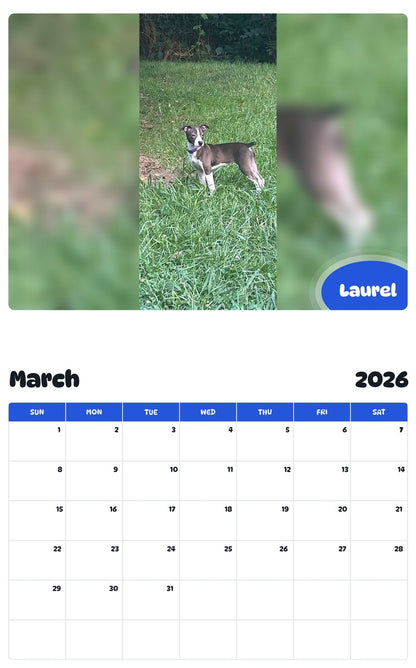 November 2025 - October 2026 Laurel - Pawidols Pet Calendar