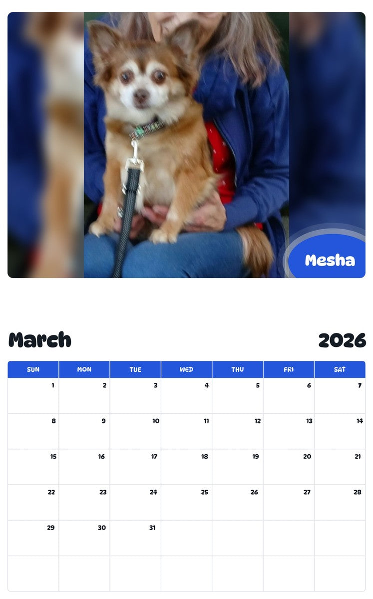 November 2025 - October 2026 Mesha - Pawidols Pet Calendar