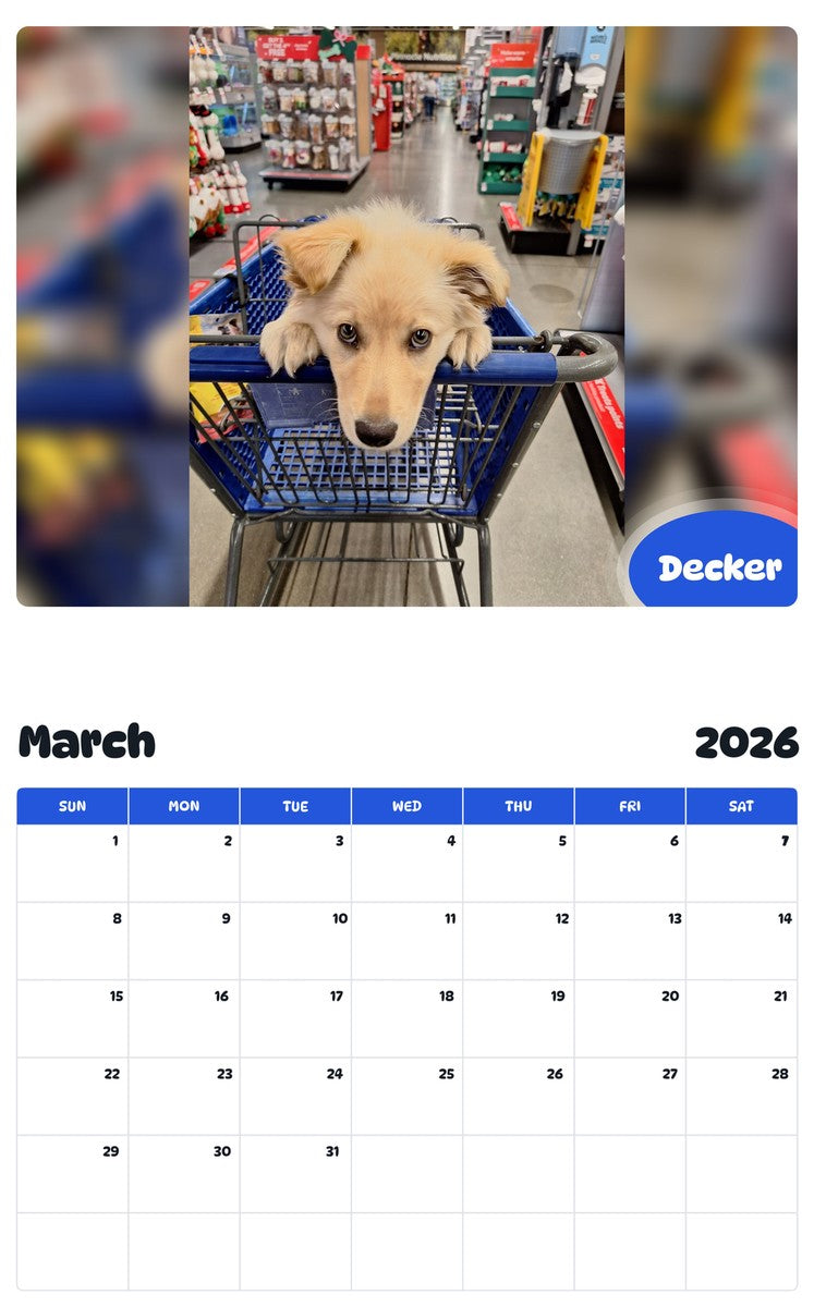 November 2025 - October 2026 Decker - Pawidols Pet Calendar