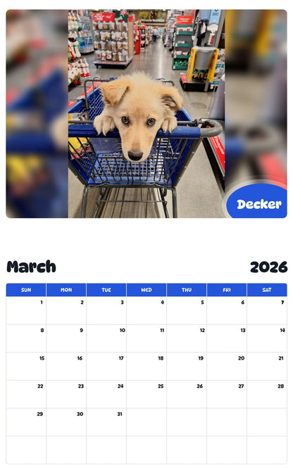 November 2025 - October 2026 Decker - Pawidols Pet Calendar