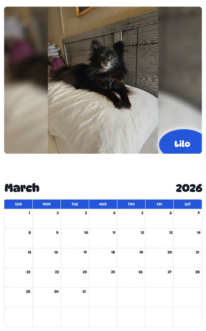 November 2025 - October 2026 Lilo - Pawidols Pet Calendar
