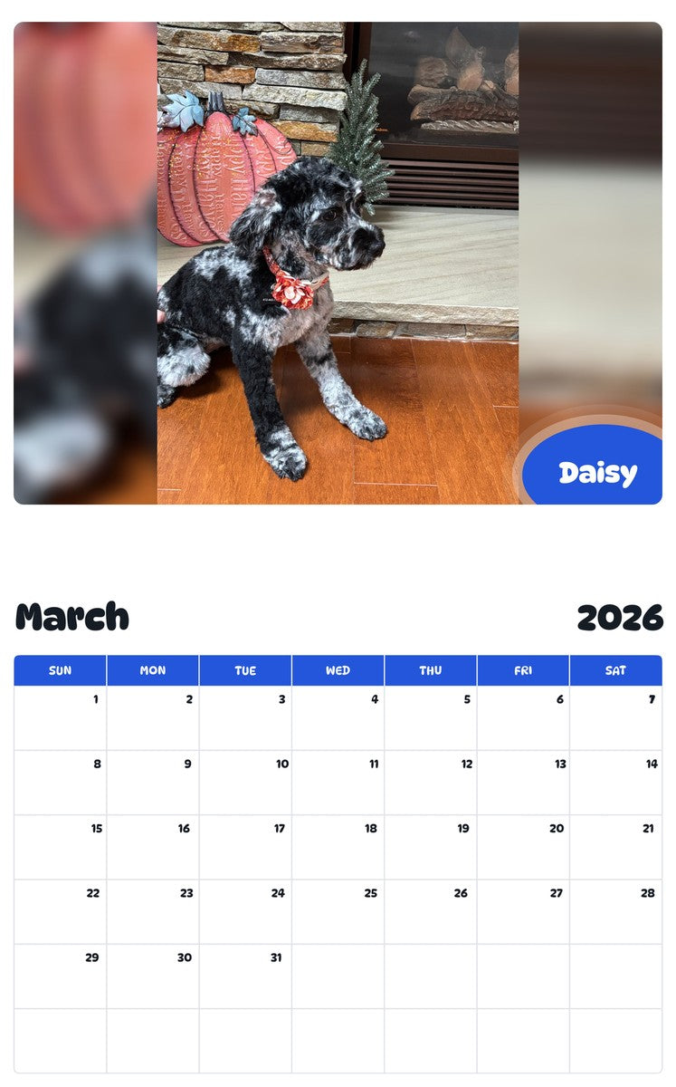 November 2025 - October 2026 Daisy - Pawidols Pet Calendar