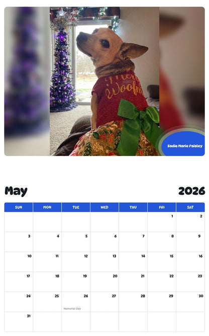 2026 - 2027 Sadie Marie Paisley - Pawidols Pet Calendar