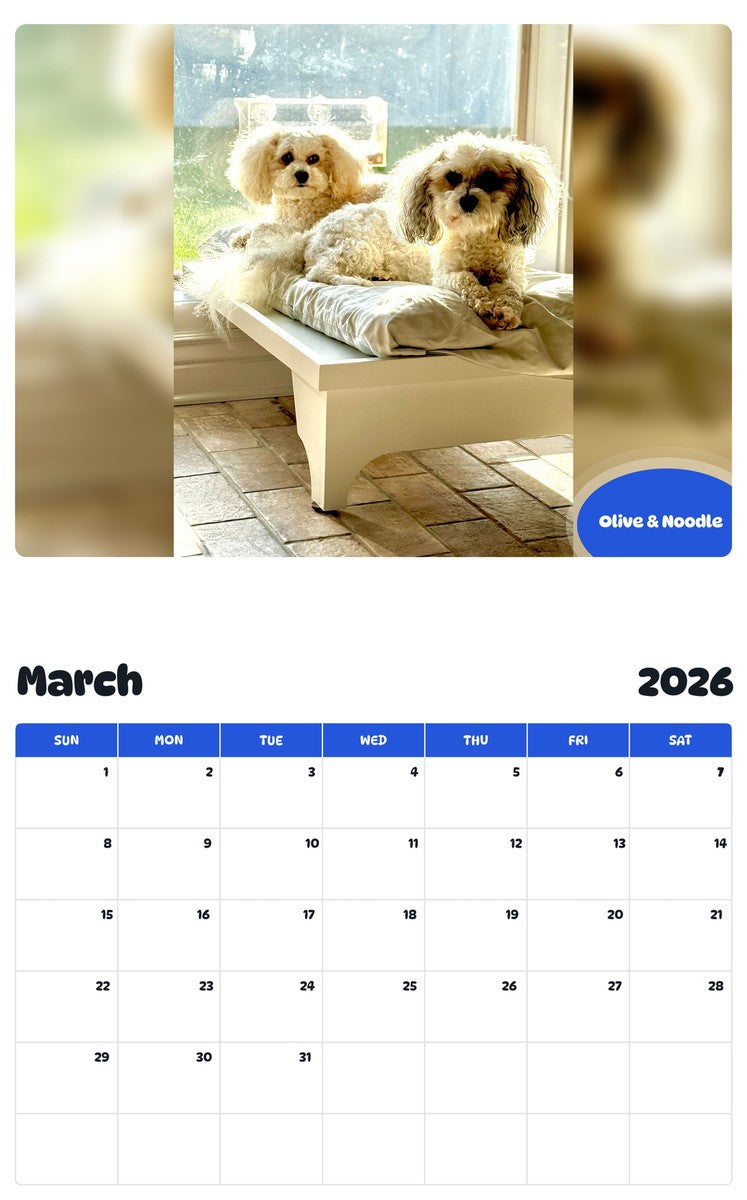 November 2025 - October 2026 Olive & Noodle - Pawidols Pet Calendar