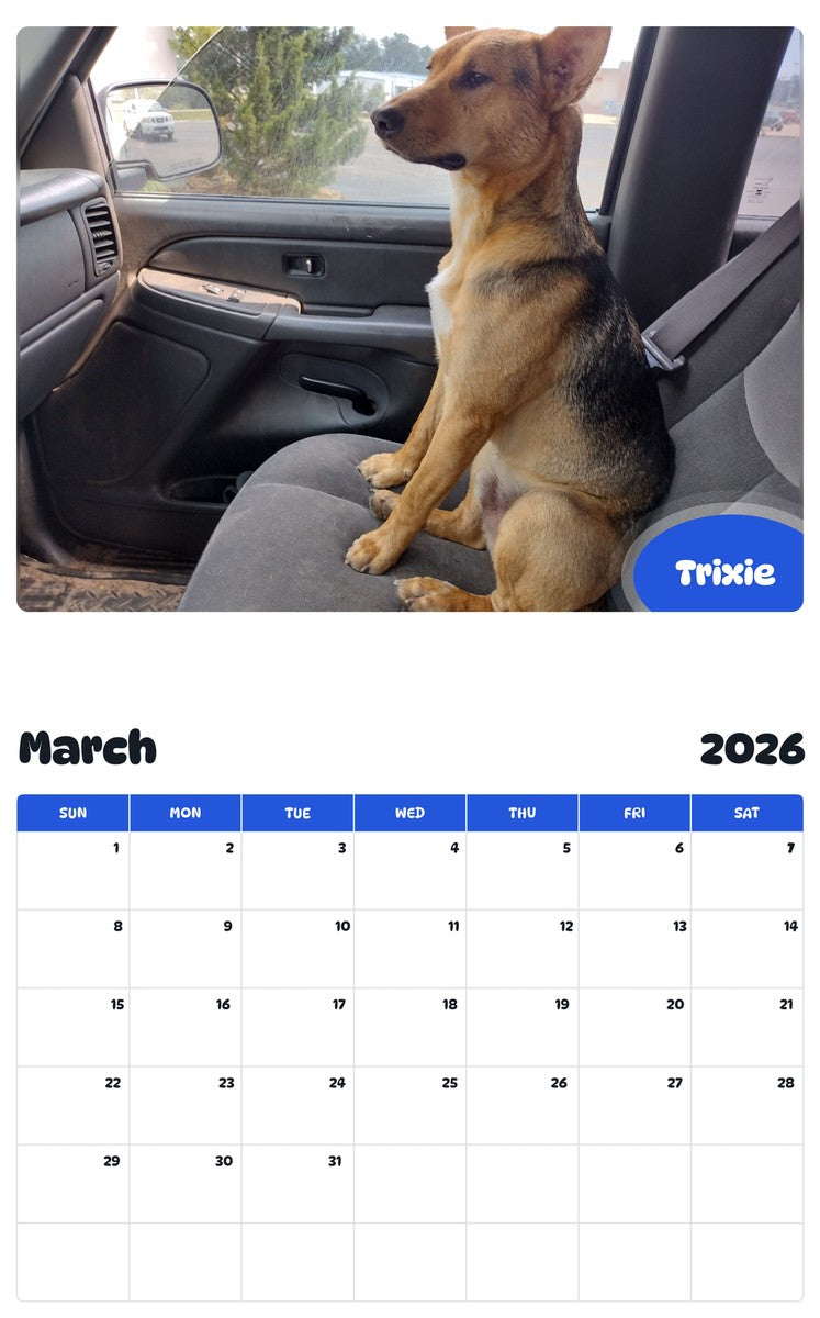 November 2025 - October 2026 Trixie - Pawidols Pet Calendar