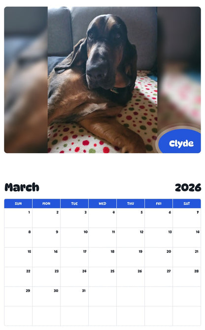 November 2025 - October 2026 Clyde - Pawidols Pet Calendar