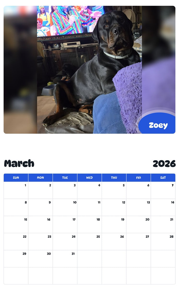 November 2025 - October 2026 Zoey - Pawidols Pet Calendar