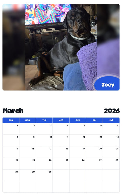 November 2025 - October 2026 Zoey - Pawidols Pet Calendar