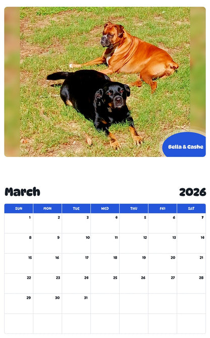 November 2025 - October 2026 Bella & Cashe - Pawidols Pet Calendar