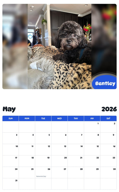 2026 - 2027 Bentley - Pawidols Pet Calendar