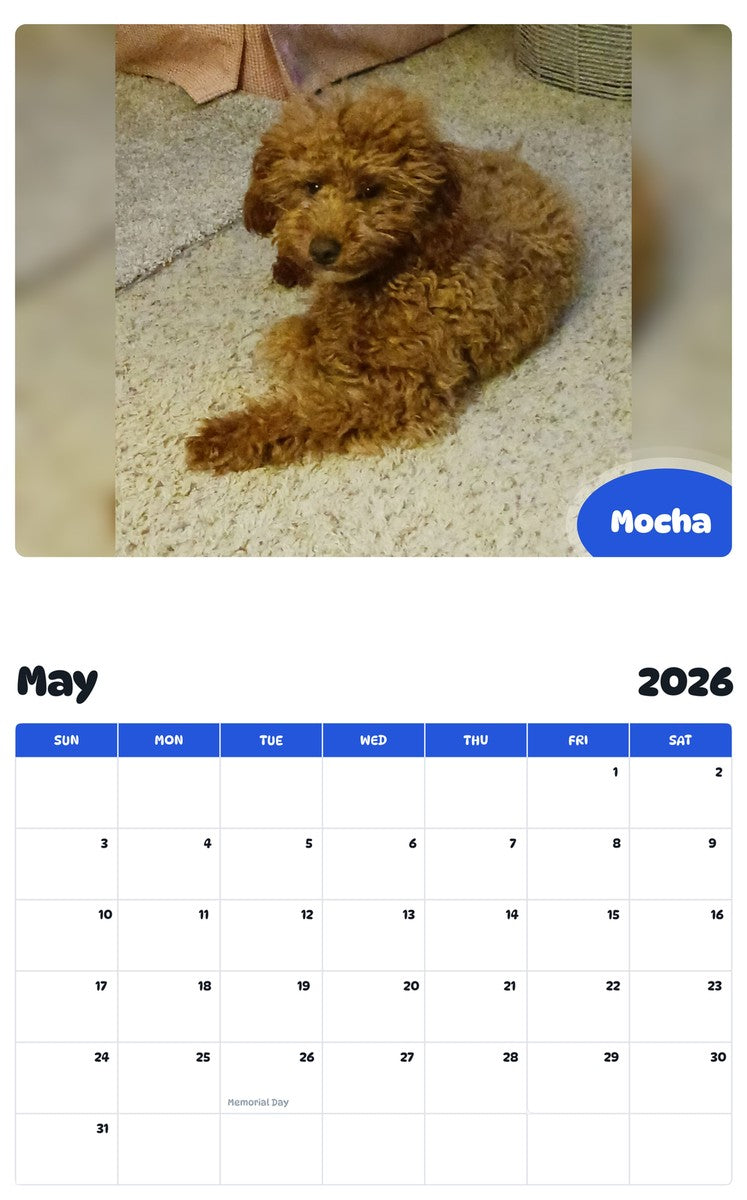 2026 - 2027 Mocha - Pawidols Pet Calendar