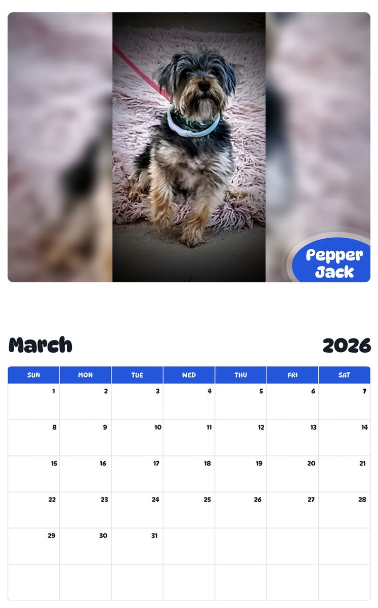 November 2025 - October 2026 Pepper Jack - Pawidols Pet Calendar