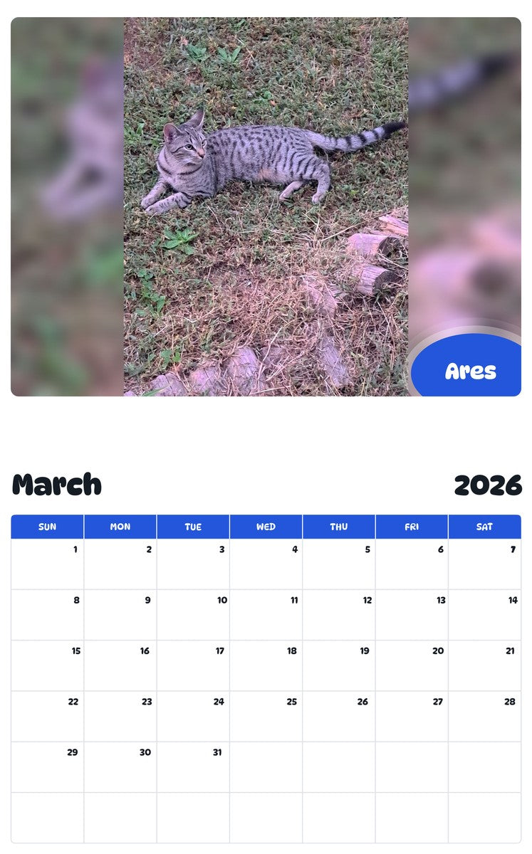 November 2025 - October 2026 Ares - Pawidols Pet Calendar