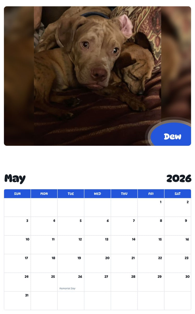 2026 - 2027 Dew - Pawidols Pet Calendar