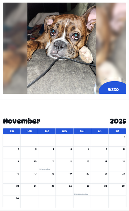 July 2025 - June 2026 Rizzo - Pawidols Pet Calendar