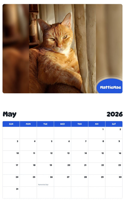 2026 - 2027 MattieMae - Pawidols Pet Calendar
