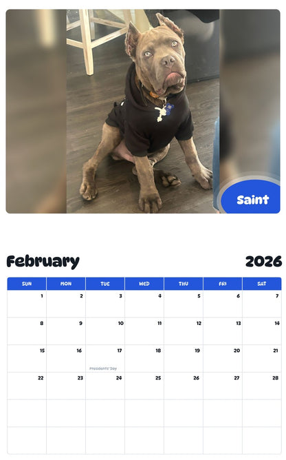 November 2025 - October 2026 Saint - Pawidols Pet Calendar