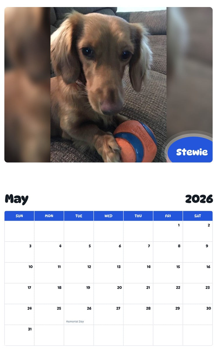 2026 - 2027 Stewie - Pawidols Pet Calendar