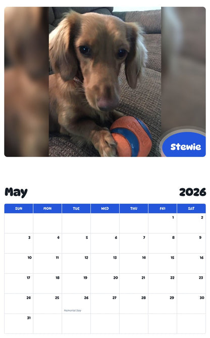 2026 - 2027 Stewie - Pawidols Pet Calendar
