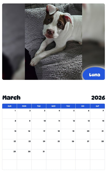 November 2025 - October 2026 Luna - Pawidols Pet Calendar