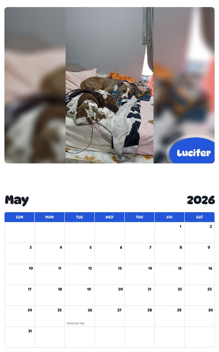2026 - 2027 Lucifer - Pawidols Pet Calendar