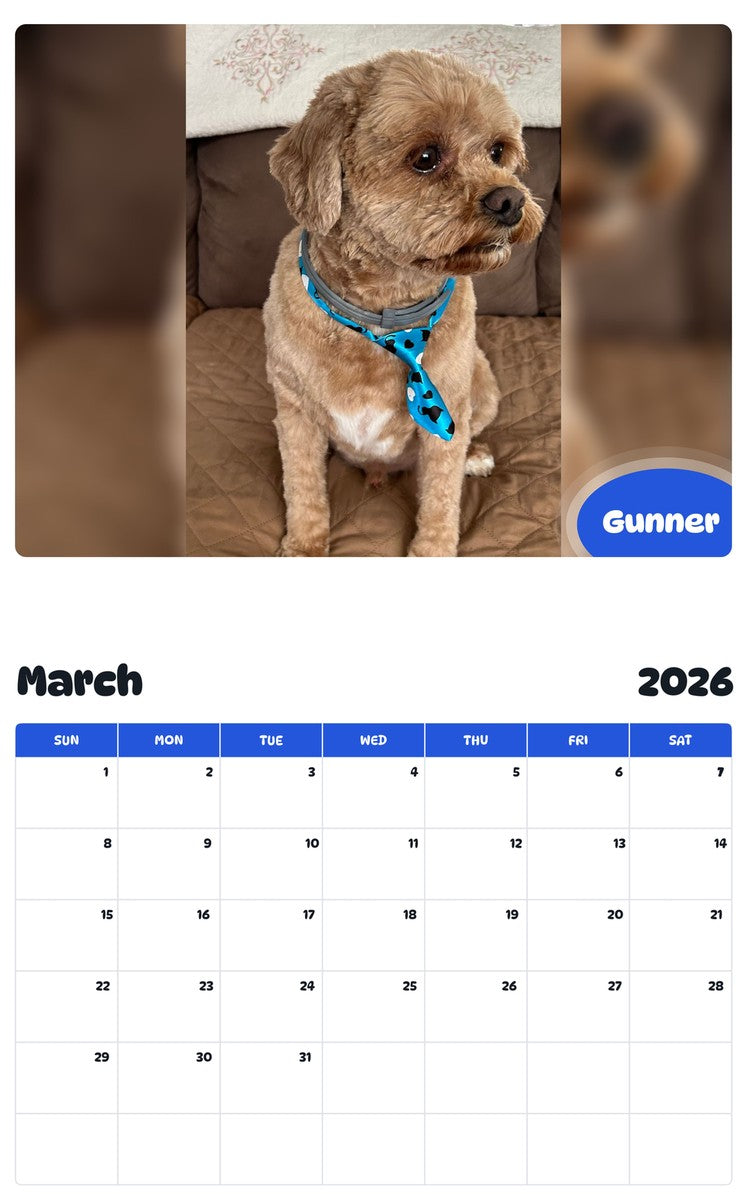 November 2025 - October 2026 Gunner - Pawidols Pet Calendar