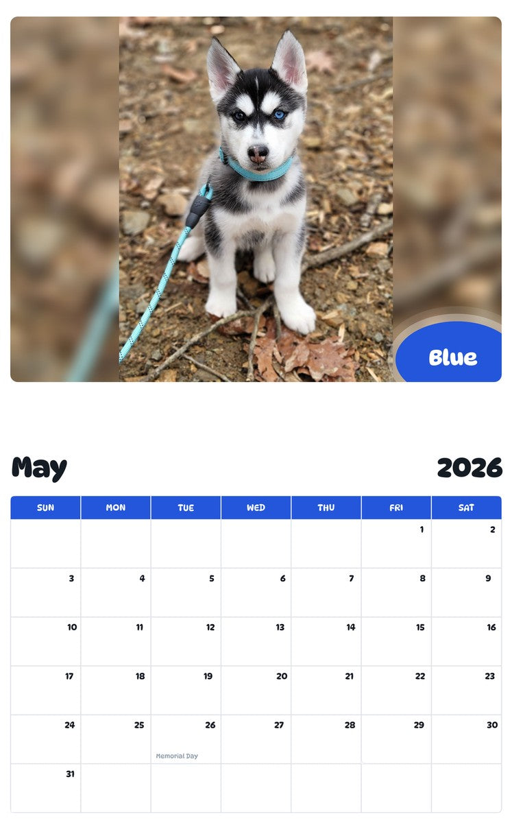 2026 - 2027 Blue - Pawidols Pet Calendar
