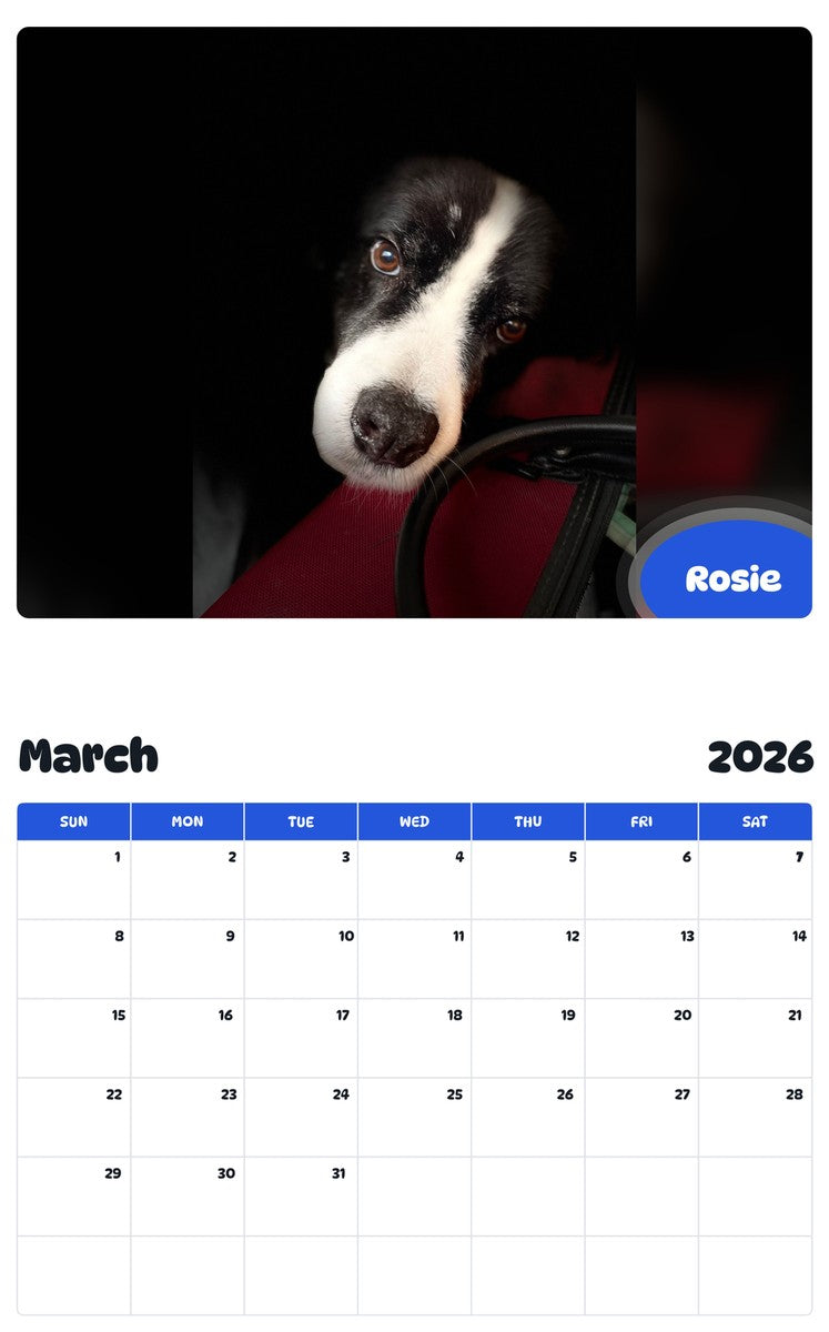 November 2025 - October 2026 Rosie - Pawidols Pet Calendar