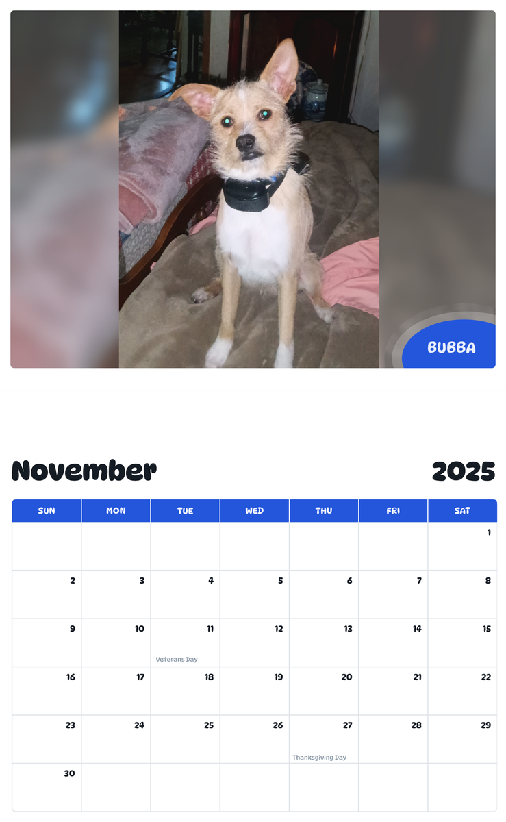 July 2025 - June 2026 Bubba - Pawidols Pet Calendar