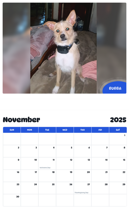 July 2025 - June 2026 Bubba - Pawidols Pet Calendar