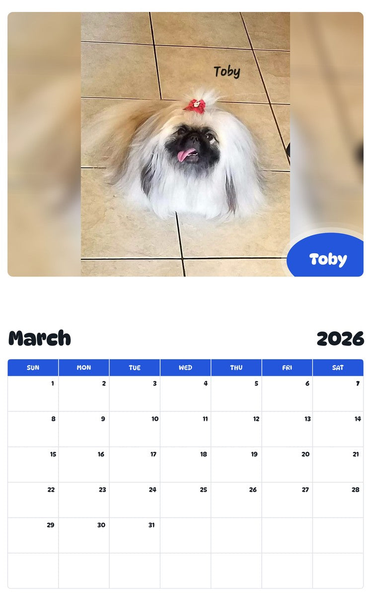 November 2025 - October 2026 Toby - Pawidols Pet Calendar
