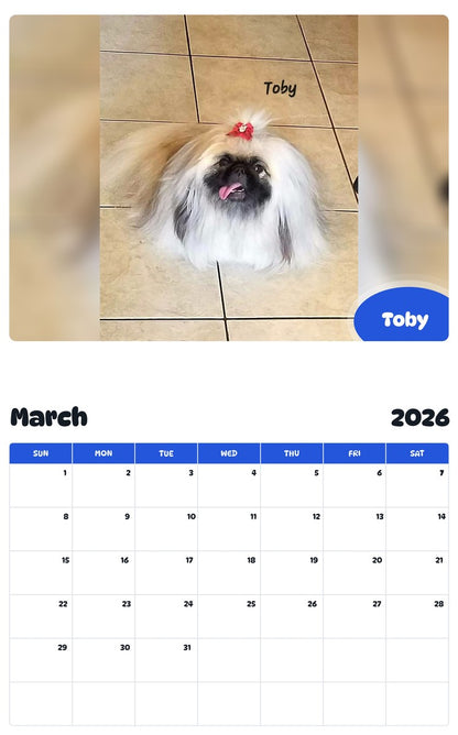 November 2025 - October 2026 Toby - Pawidols Pet Calendar