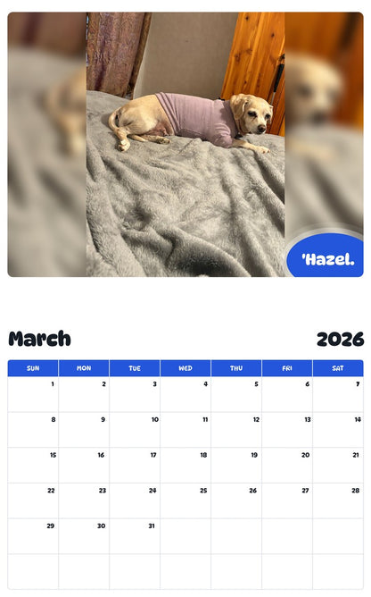 November 2025 - October 2026 'Hazel. - Pawidols Pet Calendar