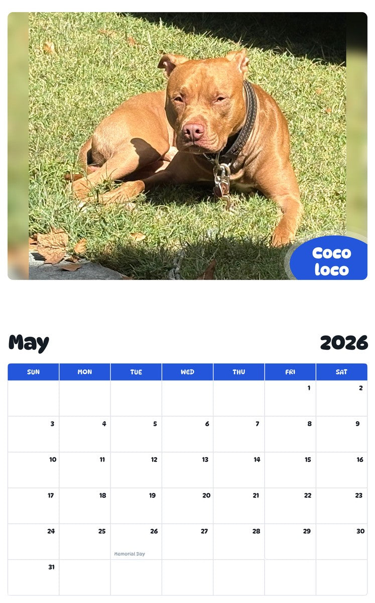 2026 - 2027 Coco loco - Pawidols Pet Calendar