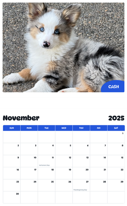 July 2025 - June 2026 Cash - Pawidols Pet Calendar