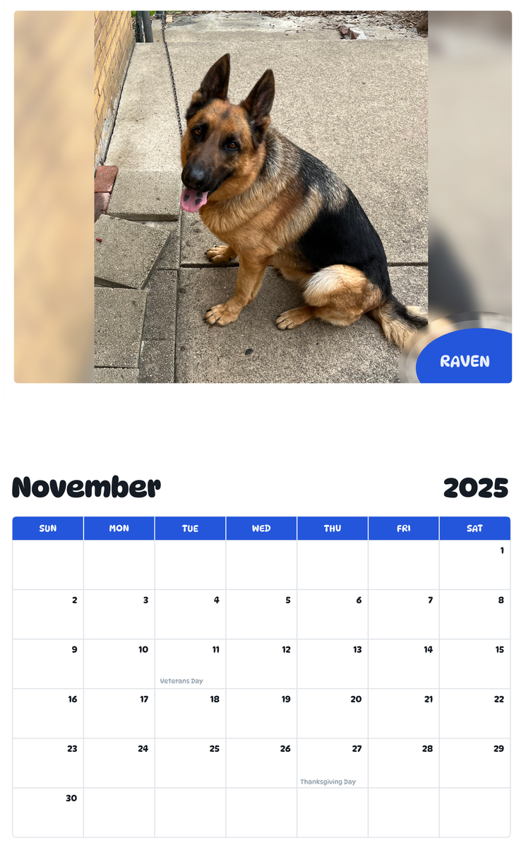 July 2025 - June 2026 Raven - Pawidols Pet Calendar