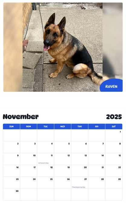 July 2025 - June 2026 Raven - Pawidols Pet Calendar