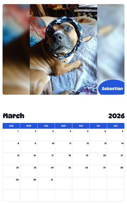 November 2025 - October 2026 Sebastian - Pawidols Pet Calendar