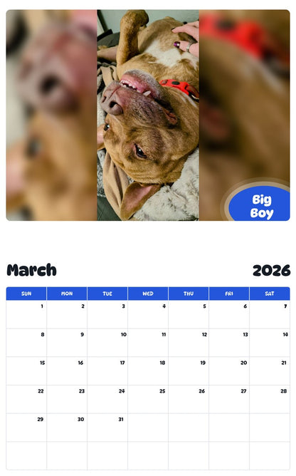 November 2025 - October 2026 Big Boy - Pawidols Pet Calendar